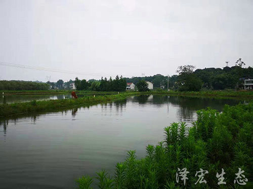 基地面貌 (1)