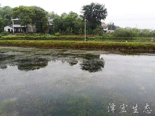 基地面貌 (4)