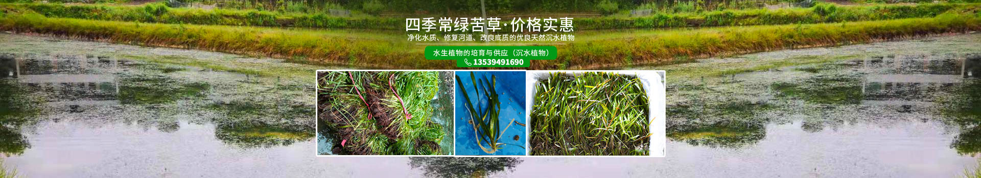 湖南澤宏生態(tài)科技有限公司_長(zhǎng)沙水環(huán)境流域生態(tài)治理|長(zhǎng)沙水污染防治|長(zhǎng)沙水體生態(tài)修復(fù)