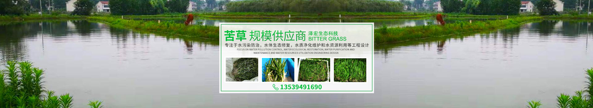 湖南澤宏生態(tài)科技有限公司_長(zhǎng)沙水環(huán)境流域生態(tài)治理|長(zhǎng)沙水污染防治|長(zhǎng)沙水體生態(tài)修復(fù)